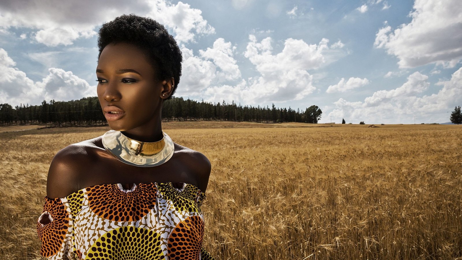 Printed dress and gold collar photographed in a field of ripe wheat