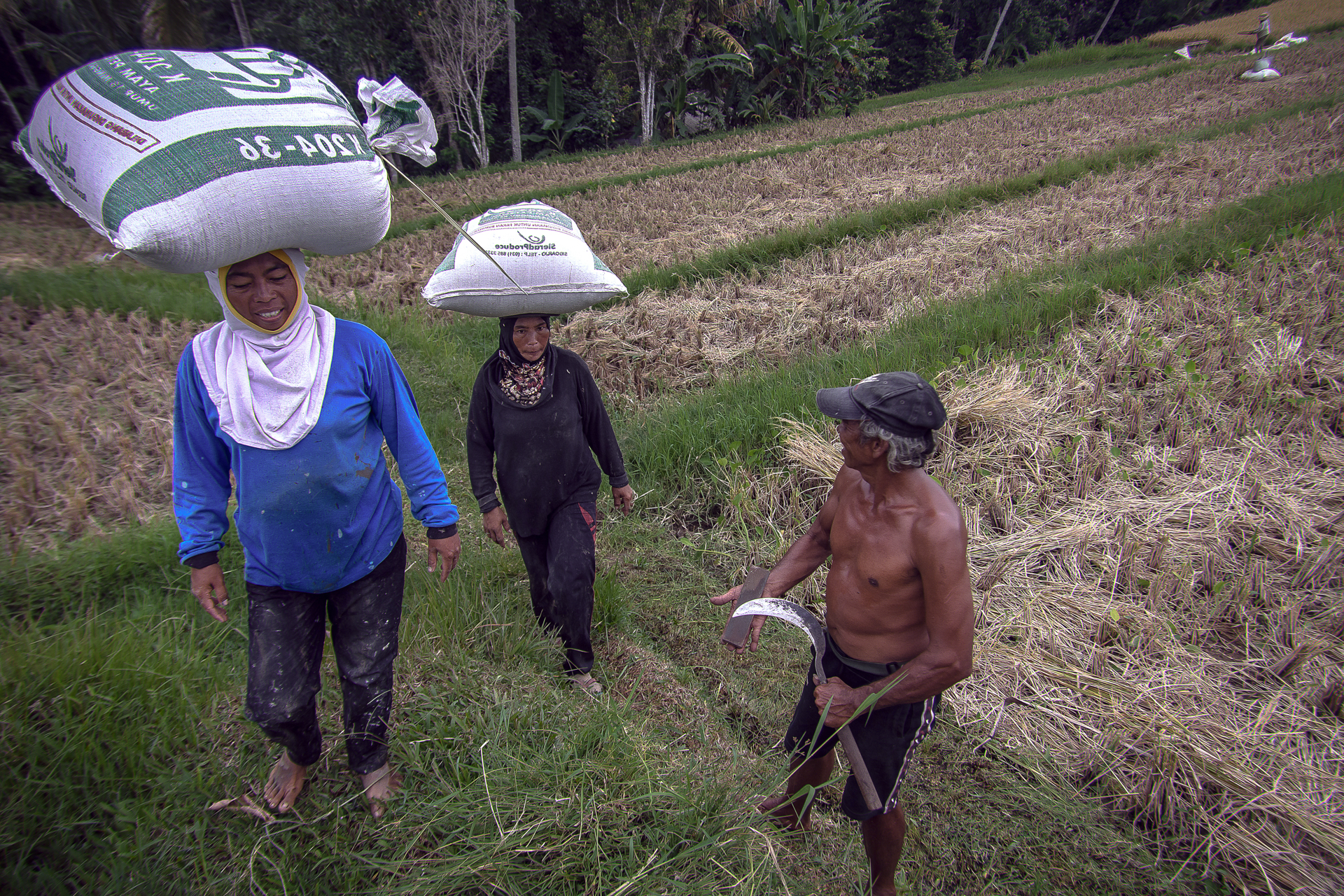 Bali cultural photography portrait and community