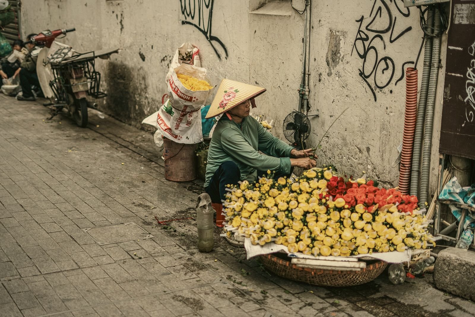 A fruit vendor in a conical hat in a Hanoi alley, Vietnam