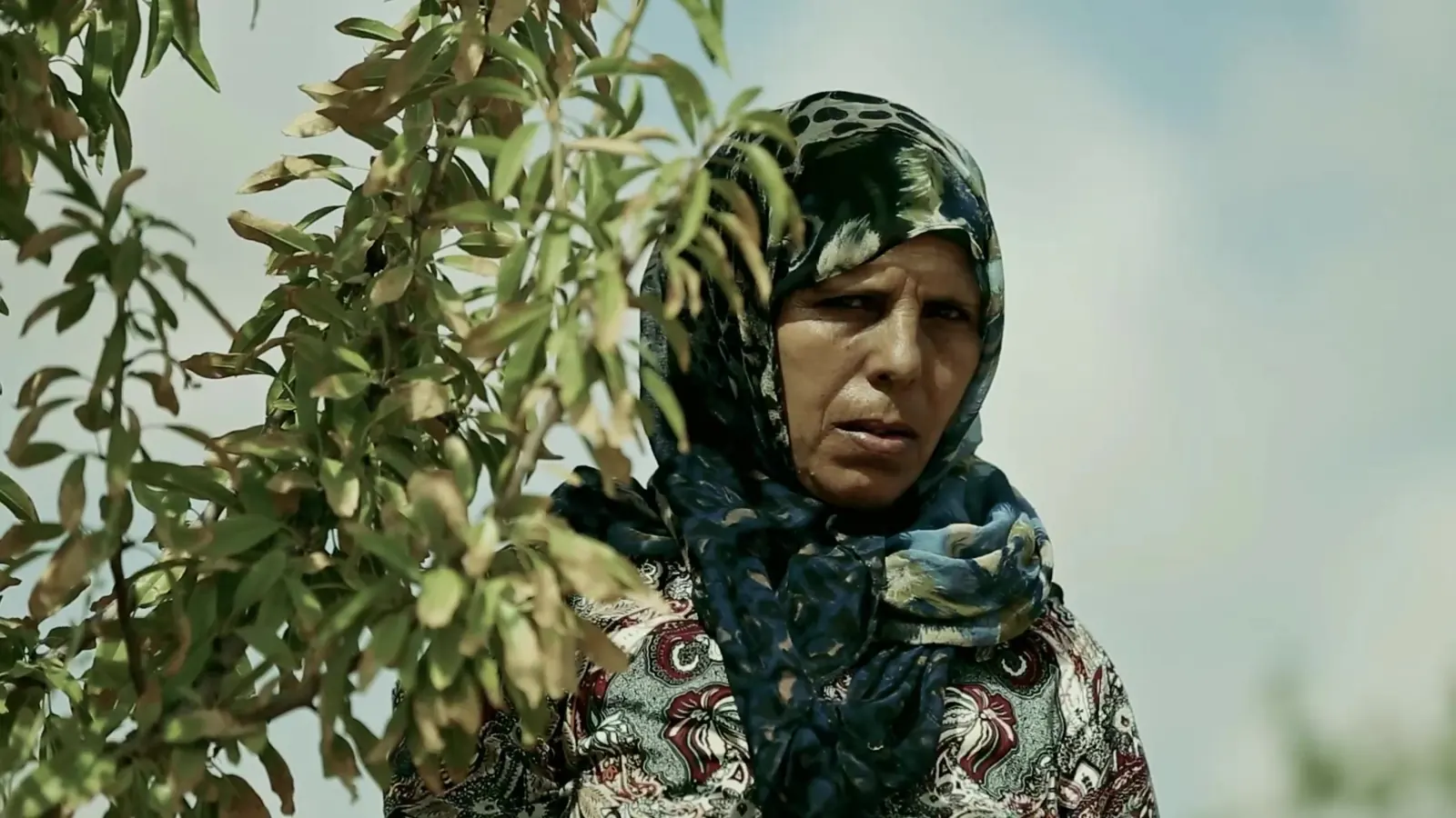 Decent Work, Up Close: ILO Documentary Films 3 Portrait of a woman in a patterned headscarf standing among green trees, looking calmly into the camera