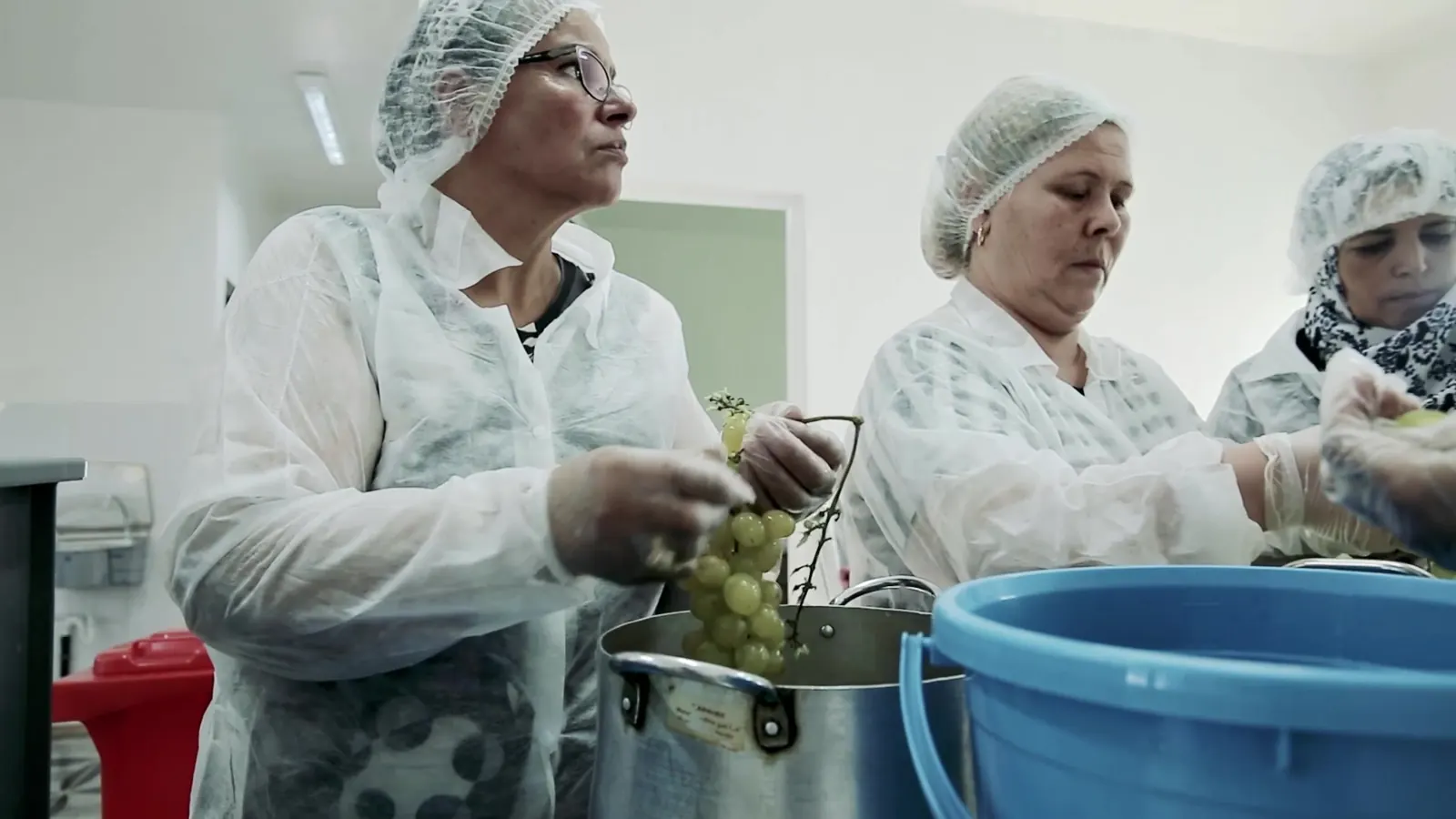 Decent Work, Up Close: ILO Documentary Films 7 Women in hairnets and white coats sorting produce into a blue tub in a food processing room