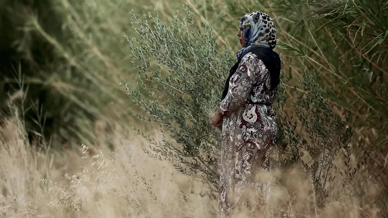 Decent Work, Up Close: ILO Documentary Films 12 A woman in a headscarf standing in tall grass at the edge of a field