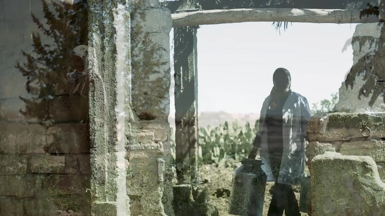 Man standing in a stone doorway looking out over a field, still from the ILO documentary films in Tunisia