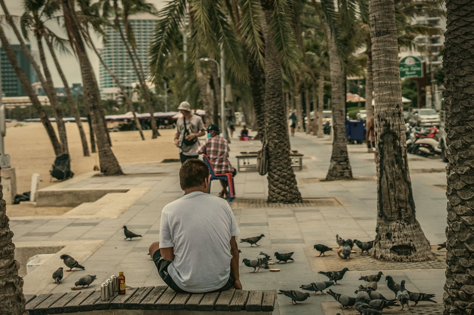 A man feeding pigeons under the palms of the Pattaya promenade